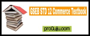 Latest STD 12 Commerce Textbook PDF 2020